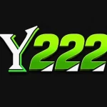 Y222 Game